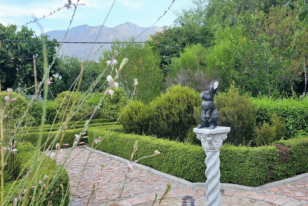 Grey Rabbit Cottage Montagu Extérieur photo