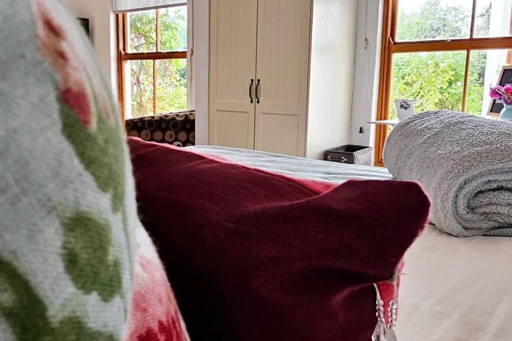 Grey Rabbit Cottage Montagu Extérieur photo