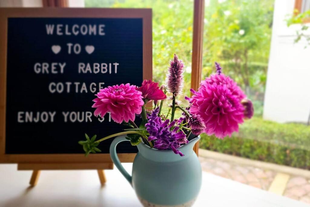 Grey Rabbit Cottage Montagu Extérieur photo